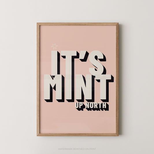 A framed typographic wall art print with the phrase “IT’S MINT UP NORTH” in large white letters with black drop shadows on a dusty pink background, shown hanging against a light neutral wall.