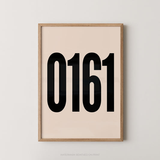 Framed minimalist wall art print with the large black numbers '0161' on a warm cream background, shown in a light natural wood frame against a light gray wall.